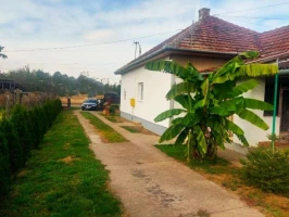 Haus, Samostalna, Bačko Gradište, Centar