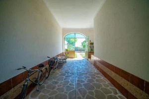 House, Samostalna, Srbobran, Centar