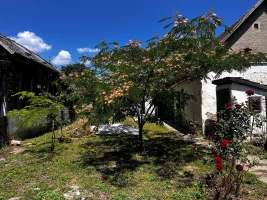 House, Samostalna, Bačko Gradište, Centar