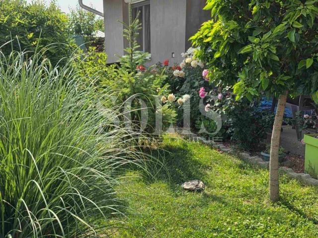 KUĆA, Begeč, Centar | Šifra: 3004038