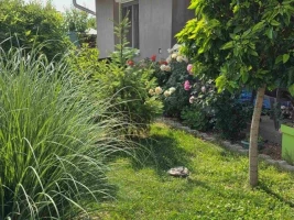 Kuća, Samostalna, Begeč, Centar