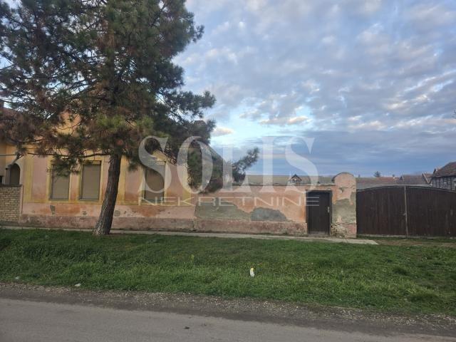 HAUS, Čurug, Širi centar | Šifra: 3004056