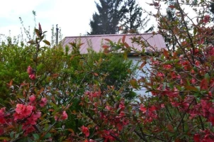 Kuća, Vikendica, Čortanovci, Inđijski breg