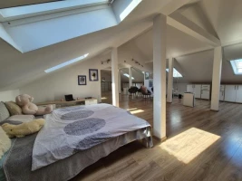 Haus, Samostalna, Novi Sad, Telep - južni