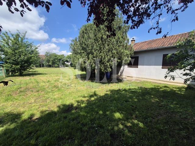 KUĆA, Rumenka, Centar | Šifra: 3004156