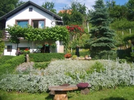 Кућа, Vikendica, Sremska Kamenica, Novo selo