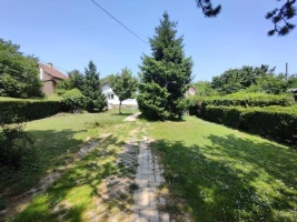 House, Samostalna, Novi Sad, Kamenjar