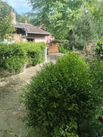 Kuća, Samostalna, Sremska Kamenica, Centar
