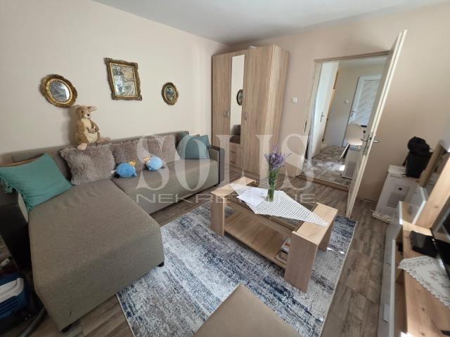 KUĆA, Novi Sad, Salajka | Šifra: 3004225