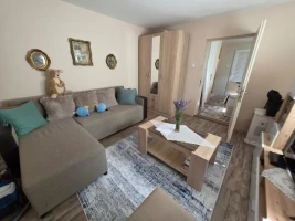 Kuća, Samostalna, Novi Sad, Salajka