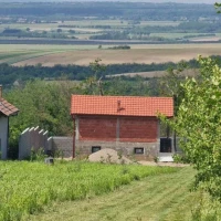 Kuća, Samostalna, Divoš, Divoš