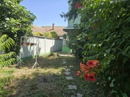 Kuća, Dvojna, Novi Sad, Salajka