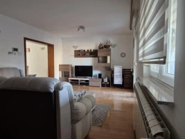 Kuća, Samostalna, Petrovaradin, Sadovi