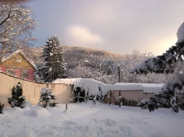 Kuća, Vikendica, Stari Ledinci, Stari Ledinci