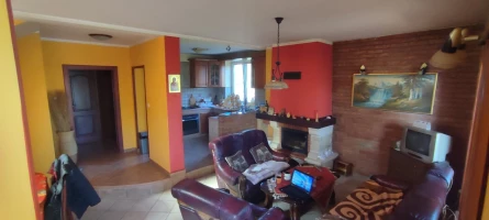 Kuća, Samostalna, Petrovaradin, Puckaroš