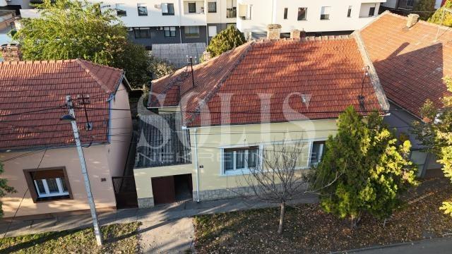 HOUSE, Novi Sad, Salajka | Šifra: 3004376