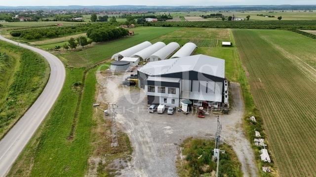 Business premises, Bačka Palanka, Bačka Palanka | Šifra: 8081238