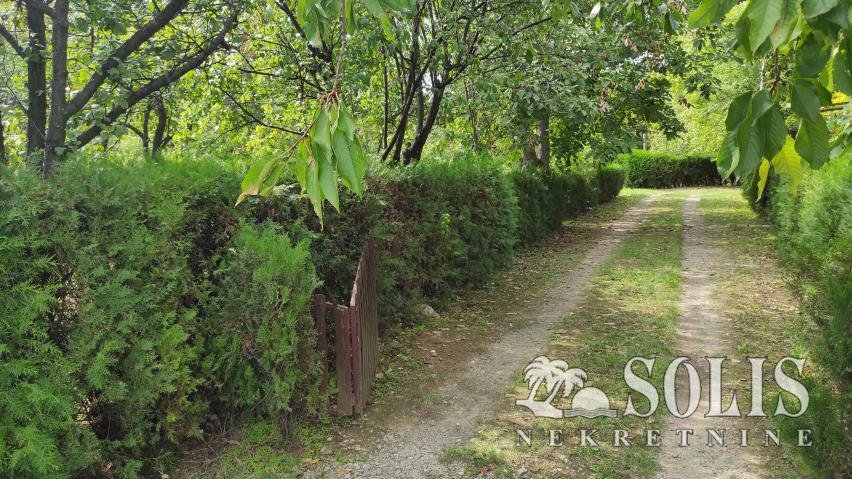 PLAC, Petrovaradin, Trandžament | Šifra: 7071016