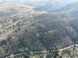 Grundstück, 4850 m<sup>2</sup>, Čerević, Borkovac