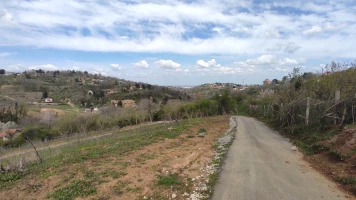 Плац, 3007 m<sup>2</sup>, Sremska Kamenica, Grigovac