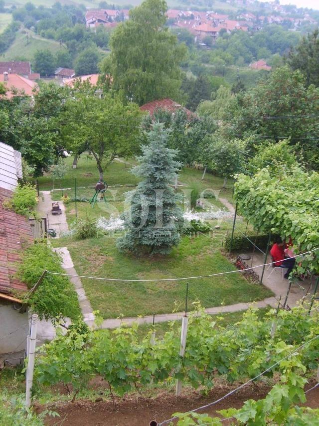 PLAC, Sremska Kamenica, Novo selo | Šifra: 7072094