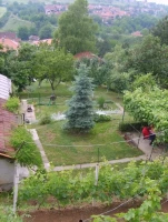 Плац, 1080 m<sup>2</sup>, Sremska Kamenica, Novo selo