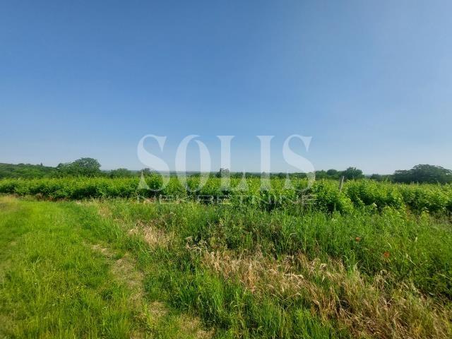 PLAC, Rakovac, Dumbovo | Šifra: 7072120