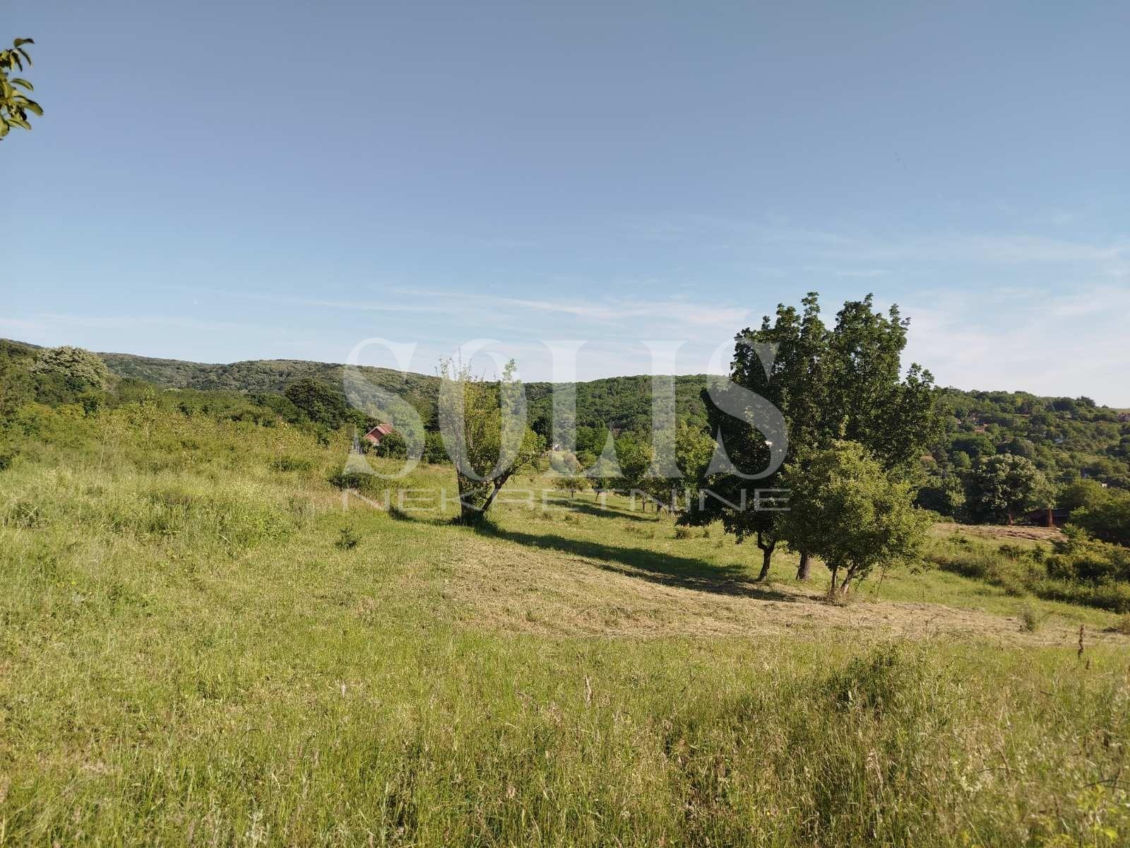 PLAC, Velika Remeta, Velika Remeta | Šifra: 7072135