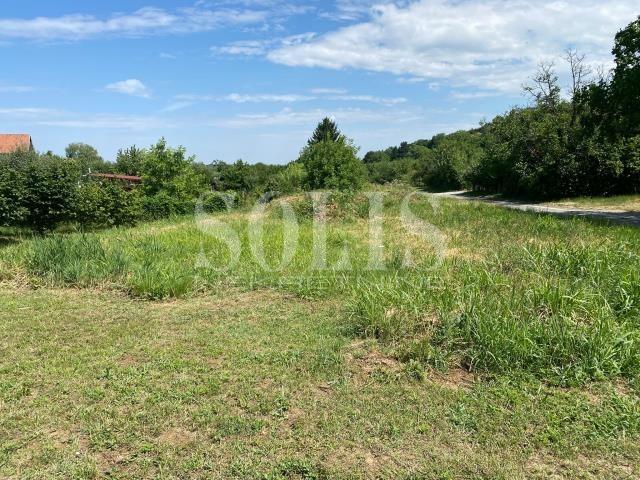 PLAC, Petrovaradin, Alibegovac | Šifra: 7072149