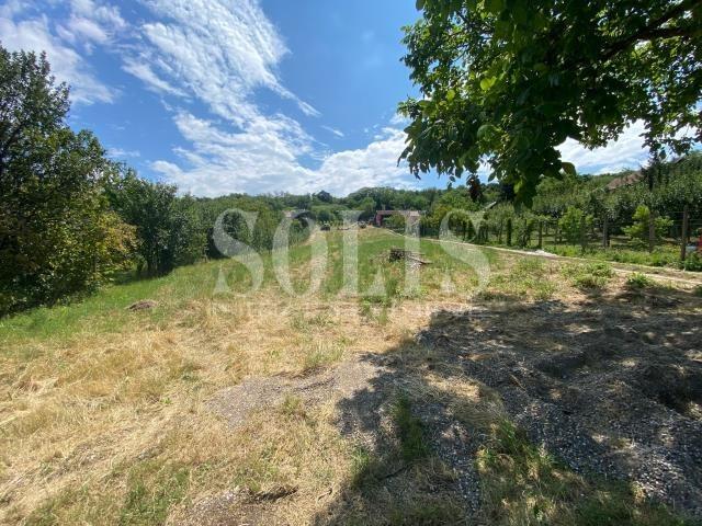 PLAC, Petrovaradin, Alibegovac | Šifra: 7072150