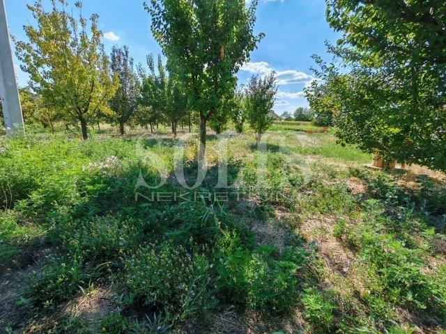 PLAC, Temerin, ulaz u Temerin | Šifra: 7072165