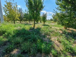 Plac, 514 m<sup>2</sup>, Temerin, ulaz u Temerin