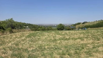 Plac, 14992 m<sup>2</sup>, Novi Ledinci, Torine