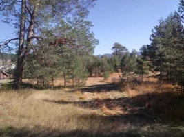 Plac, 2601 m<sup>2</sup>, Zlatibor, Vodice