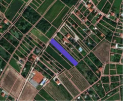 Plac, 1600 m<sup>2</sup>, Petrovaradin, Alibegovac