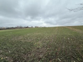 Plac, 1500 m<sup>2</sup>, Bukovac, Vezirac