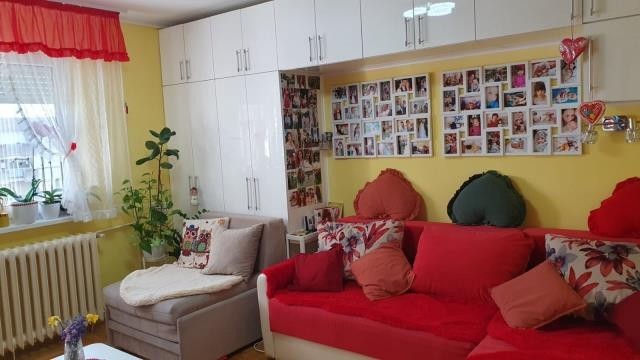 Novi Sad Liman 3 One-room apartment