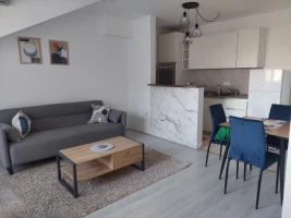 Apartment, Two and a half-room apartment<br>56 m<sup>2</sup>, Centar