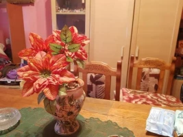 Stan, Dvosoban<br>51 m<sup>2</sup>, Centar Stari grad