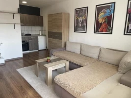 Apartment, Efficiency apartment<br>31 m<sup>2</sup>, Cara Dušana-Grbavica