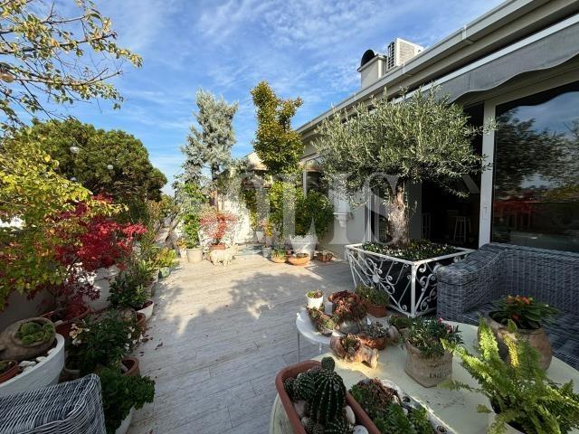 Novi Sad Grbavica Višesoban