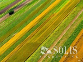 LAND, 2000 ha, Vojvodina, Vojvodina