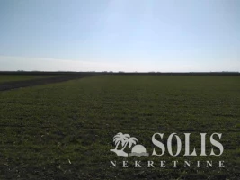 LAND, 1.03 ha, Čenej, Peskara