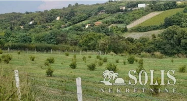 ЗЕМЉИШТЕ, 1.67 ha, Sremski Karlovci, Lipovac