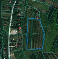 LAND, 1.42 ha, Čerević, Čerević