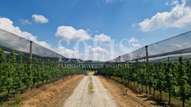 ZEMLJIŠTE, Grgeteg, Grgeteg | Šifra: 6500457