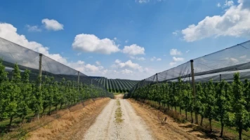 ЗЕМЉИШТЕ, 13.6 ha, Grgeteg, Grgeteg