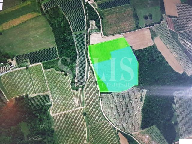 ZEMLJIŠTE, Irig, Irig | Šifra: 6500463