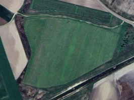 ZEMLJIŠTE, 7.4 ha, Kolut, Kolut