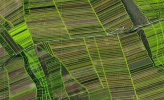 ZEMLJIŠTE, 0.72 ha, Neradin, Neradin